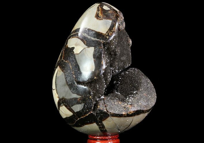 Septarian Dragon Egg Geode - Black Crystals #71992